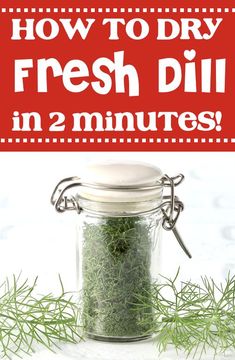 How to Dry Dill in Microwave Drying Dill In The Oven, Dried Dill Recipes, Can You Freeze Fresh Dill, How To Dry Fresh Dill, How To Dry Dill Herbs, How Do You Preserve Fresh Dill, Preserving Dill Herb