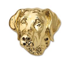 a golden dog head on a white background