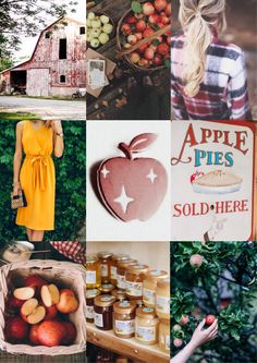 a collage of photos with apples and other things to eat on the farm, including an apple pie