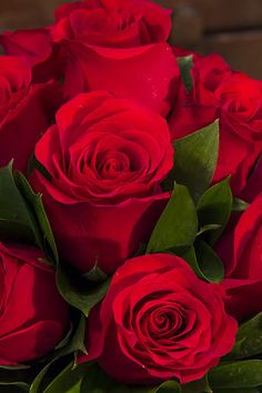 a bouquet of red roses sitting on top of a table