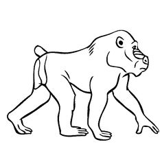 a monkey walking with its mouth open