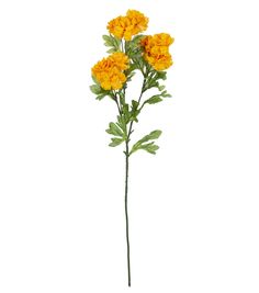 three yellow flowers with green leaves on a white background in the shape of a twig