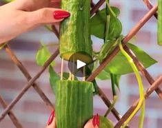 a woman holding up a cucumber in front of a fence with her hands