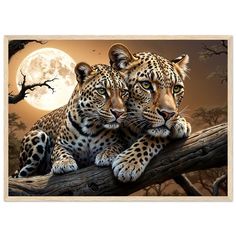 two leopards sitting on a tree branch in front of a full moon and trees