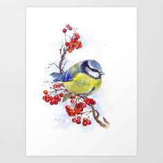 a watercolor painting of a bird on a branch with berries