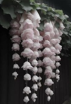 Weeping Begonia, Witchy Autumn, Top And Long Skirt, Pretty Flowers Pictures, Lily Of The Valley Flowers, Valley Flowers, Theme Nature, Nothing But Flowers, Flower Therapy