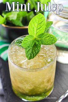 mint juice in a glass with the words mint julep on it and an image of