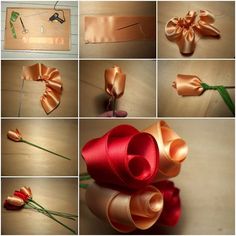 several pictures of different types of flowers and ribbons