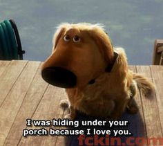 a dog sitting on top of a wooden floor next to a door with the caption, i was hiding under your porch because i love you