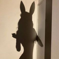 the shadow of a rabbit is cast on a wall by a woman holding a cell phone