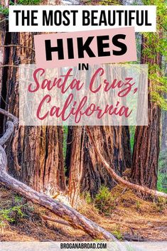 the most beautiful hikes in santa cruz, california with text overlaying it