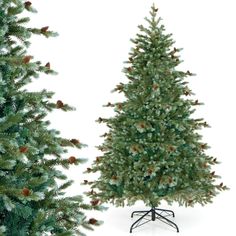 two different types of christmas trees with pine cones