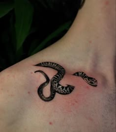 a black and white snake tattoo on the back of a man's chest,