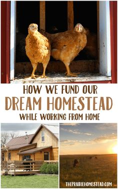 two chickens in a barn with the words how we fund our dream homestead while working from home