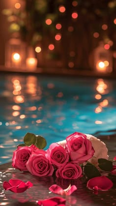 some pink roses are laying on the edge of a pool with lights in the background