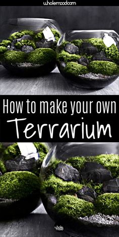 moss covered rocks and stones in a bowl with the words how to make your own terrarium