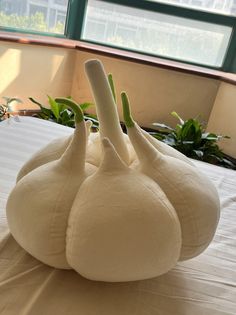 two white onions sitting on top of a bed in front of a window with potted plants