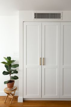 a white closet with two doors and a potted plant on the floor next to it