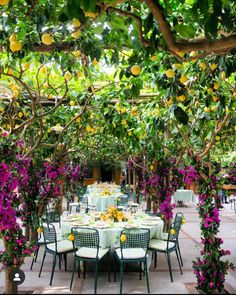 an outdoor dining area with tables and chairs covered in lemon trees, surrounded by purple flowers