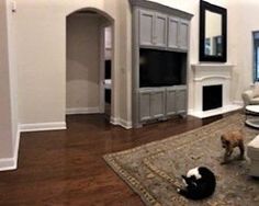 a living room filled with furniture and a cat on top of a rug in front of a fireplace