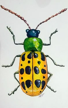 a drawing of a lady bug on a white surface with green and black spots,