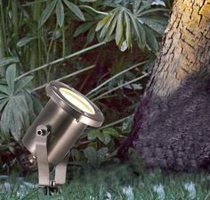 a light that is on in the grass near a tree and some bushes with leaves