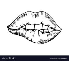 a drawing of a female lips on a white background