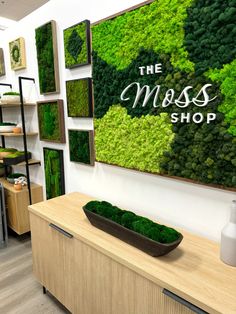 the moss shop is open for business and customers to see what's on display