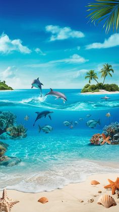 two dolphins swimming in the ocean with starfishs and palm trees on the beach