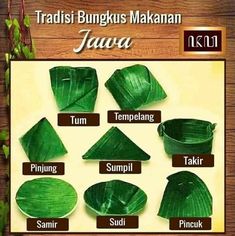 the different types of leaves are shown in this poster