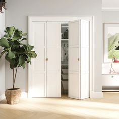 an open closet with a potted plant in the corner and paintings on the wall