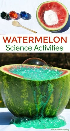 watermelon science activities for kids to do in the garden and on the table