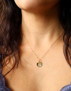 Gold Birthstone Disc Necklace for Mom or Grandma with Stick Family Figure Delicate Choker Necklace, Stick Family, Delicate Choker, Karma Necklace, Necklace For Mom, Mom Necklace, Disc Necklace, Birthstone Necklace