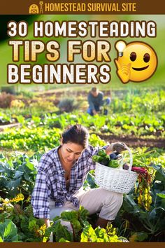 a man kneeling down in the middle of a field holding a basket filled with vegetables