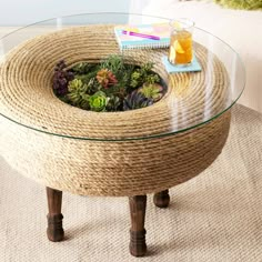 a coffee table with a glass top and some plants in the center, on a carpeted floor