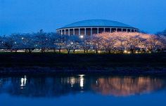 the building is lit up at night with cherry blossoms in bloom