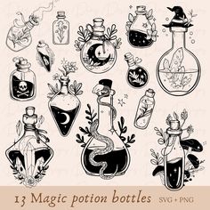 various bottles with plants in them and some writing on the bottom that says 13 magic potion bottles