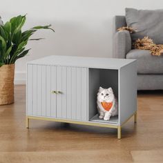 a white cat sitting in a grey cabinet next to a potted plant on the floor