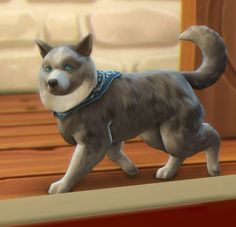 a cartoon dog with blue eyes is standing on a wooden floor and looking at the camera