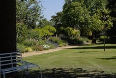 a white bench sitting in the middle of a lush green park next to a tree