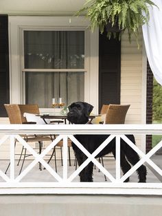 a black dog standing on top of a porch next to a table and chair set