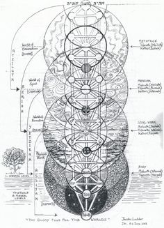 Yantai, Jacob's Ladder, Ancient Knowledge, The Tree Of Life