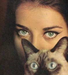 a woman with blue eyes is holding a siamese cat up to her face while looking at the camera