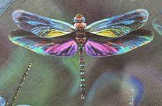 a painting of a dragonfly sitting on top of a blue and green flowered plant