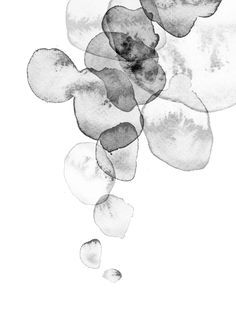 an ink drawing of flowers in black and white with watercolors on the paper