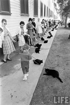 an old black and white photo of children with cats on the side of a building