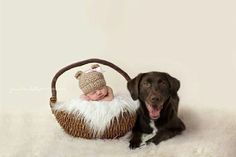 a black dog laying next to a basket with a baby wearing a bear hat on it