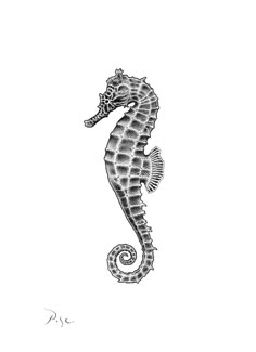 a black and white drawing of a sea horse