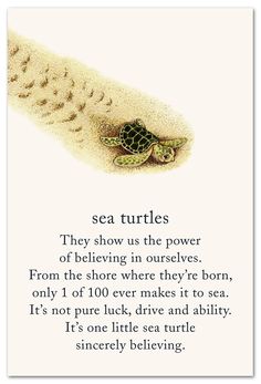 a poem written in the sand with a turtle on it's back and an image of