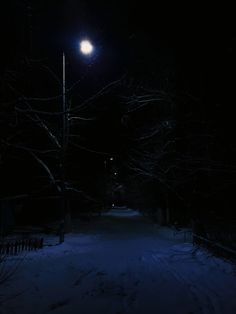 a street light in the dark on a snowy night